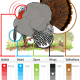 Grand Slam Gobbler ID Guide eastern-nobg-bb35d47f06ce224e40ddf22d460468191eb75fff