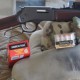 Review: Henry “Big Boy Steel” in .327 Federal Magnum-Is this curious caliber worth it in a rifle? P9191185-390x293-bd416d3b2a5376b25f3d1c875e0a27cc2dd65b23