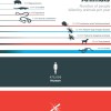 The World’s Deadliest Animal? Not A Shark Or Even A Human! biggestkillers_final_v8_no-logo-a6dddc31bb26c77179b18cf4326c458f6bd87e7b