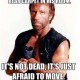 Trump Receives Most Important Endorsement Yet Chuck-Norris-2013-joke-929b5f9b162aad3cdff6c8c603e542cf276f5c5e