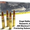 EBR’s New .300 Blackout a Game Changer for Hog Hunters EGR-.300-Blackout-PK-Fracturing-Subsonic-243d6cb654b7514c48167ab5fd7695f973eeff27