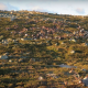 Lightning Strike Kills 323 Reindeer in Norway reindeer-508ea7ac90acfb5f6109d6562aac7a77c0899f8c