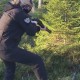 Christmas Tree hunt with Benelli M4 and Magnum loads xmas1-305759729e3b6267c26bf884ec332c9635c88e8d