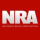 Stinchfield: CNN Praises Porn Star Over Hero Cop NRA