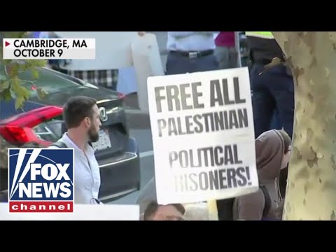 You are currently viewing Harvard students ask for donations after taking anti-Israel stance