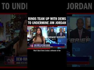 Read more about the article RINOs Team Up with Dems to Undermine Jim Jordan