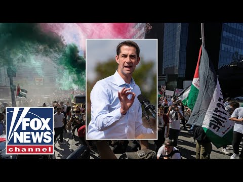 You are currently viewing Senator calls for immediate deportation of Hamas supporters