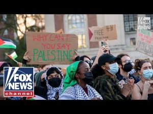 Read more about the article ‘TOXIC IDEOLOGY’: DEI programs pushing antisemitism, warns former college director