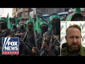 Read more about the article Hamas ‘signed their destiny’ when they decided to go to war with Israel: IDF spox