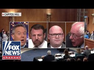 Read more about the article Thank God Bernie was there: Greg Gutfeld