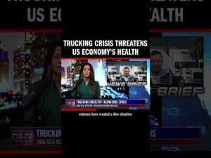Read more about the article American trucking industry in crisis