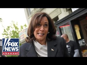 Read more about the article Kamala confused over why Biden chose her as VEEP