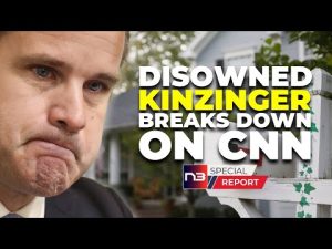 Read more about the article Did Kinzinger’s Relative Just Win Savage of the Year?