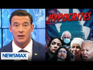 Read more about the article Carl Higbie exposes these Democrats for being in a sea of stupid