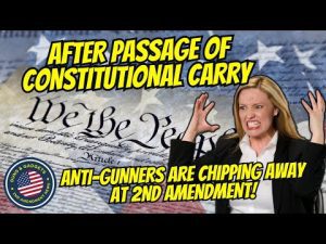 Read more about the article PAY ATTENTION: After Passage Of Constitutional Carry, Anti-Gunners Are Going To Work!