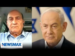 Read more about the article ‘Cease-fire is a loss for the Israelis’: Walid Phares
