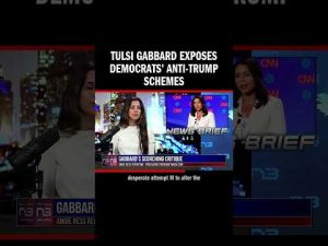 Read more about the article Tulsi Gabbard criticizes ex-party, accuses Dems of veering US towards ‘banana republic’ by allegedly
