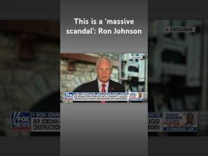 Read more about the article Sen. Ron Johnson breaks down ‘well-hidden corruption’ in the Hunter Biden scandal #shorts