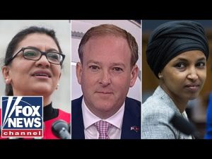 Read more about the article Tlaib, Omar should be critical of Hamas if they care about Palestinians: Zeldin