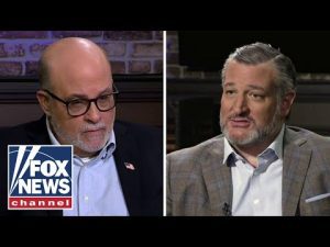 Read more about the article Ted Cruz to Levin: ‘Schumer has made clear I’m his number one target’