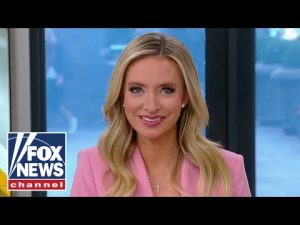 Read more about the article Kayleigh McEnany warns Democrats: ‘Do this at your own peril’